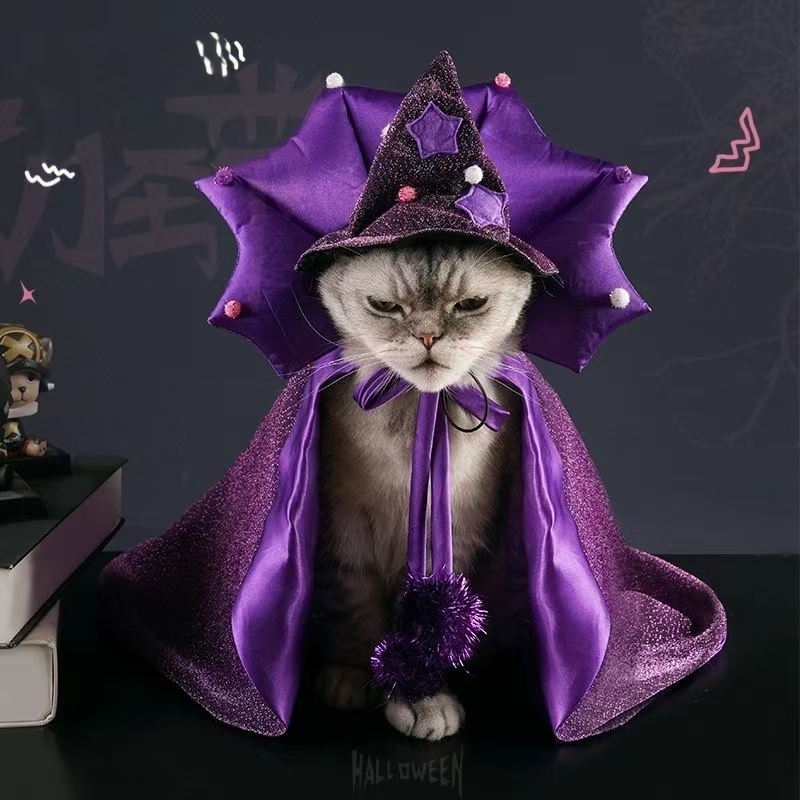 Halloween-themed pet cat and dog deep purple powerful magic cape hat set